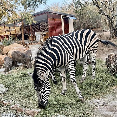 Kholiwe On Kruger Lodge & Safaris Marloth Park Ngoại thất bức ảnh