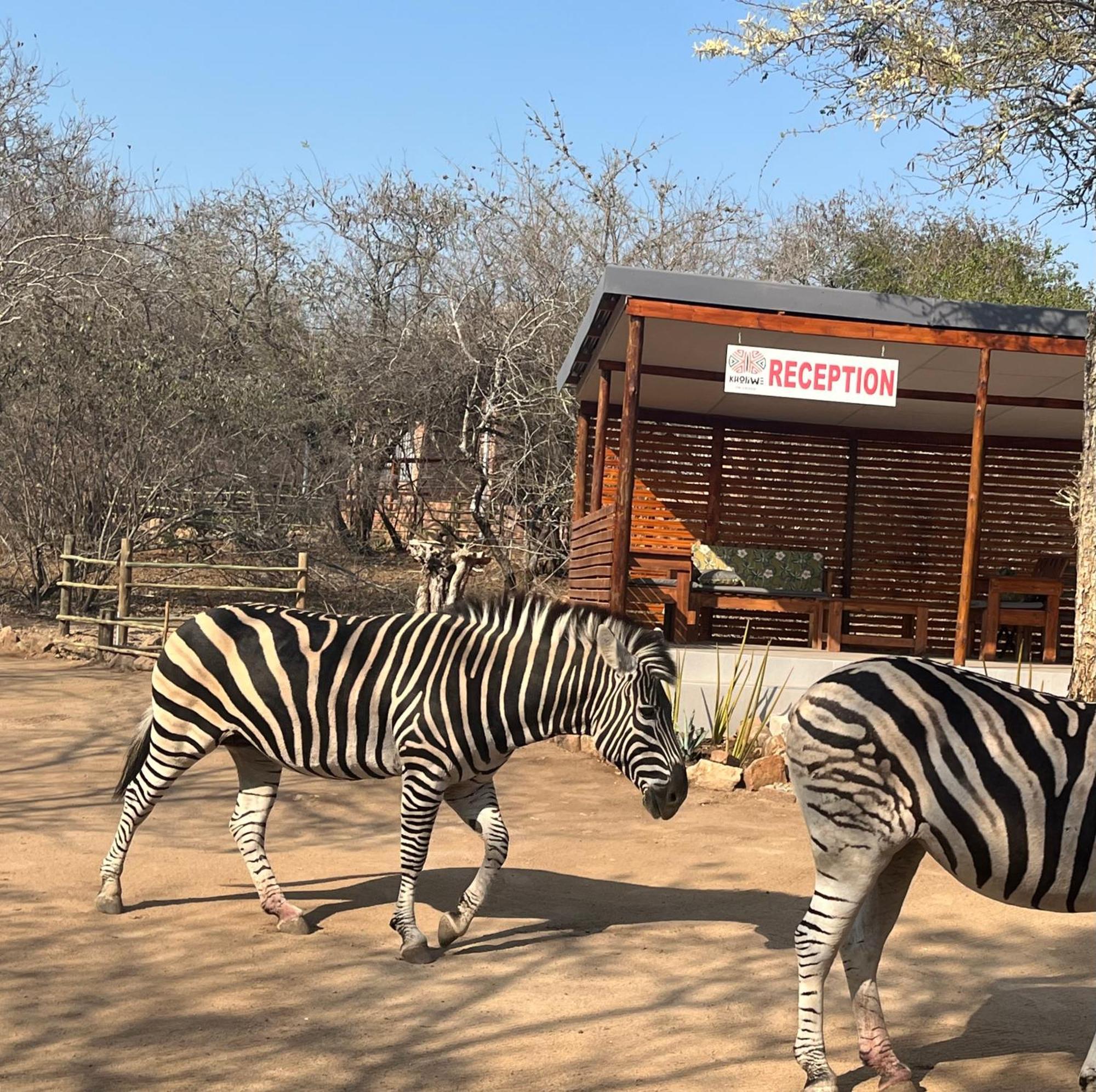 Kholiwe On Kruger Lodge & Safaris Marloth Park Ngoại thất bức ảnh