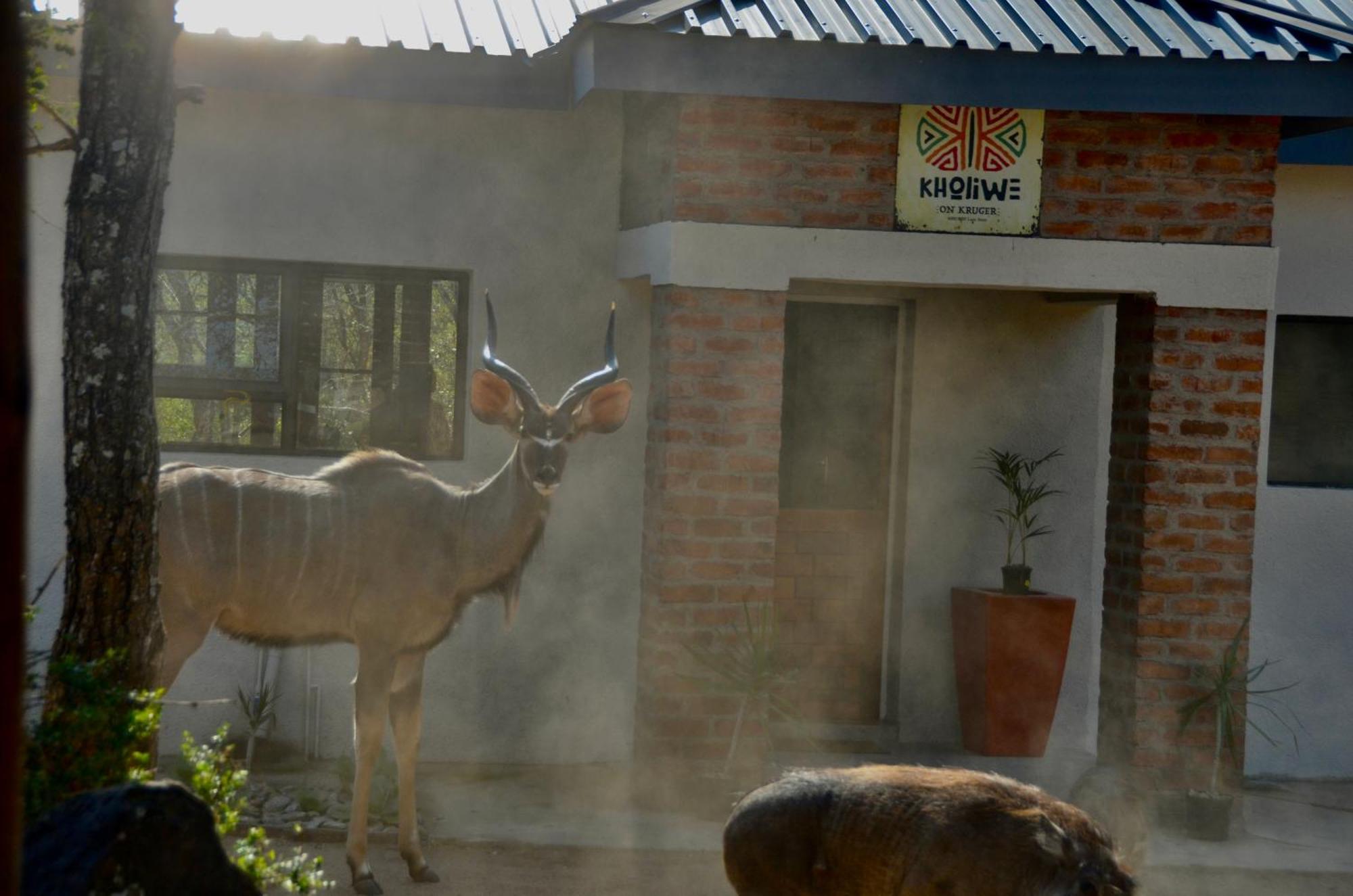 Kholiwe On Kruger Lodge & Safaris Marloth Park Ngoại thất bức ảnh