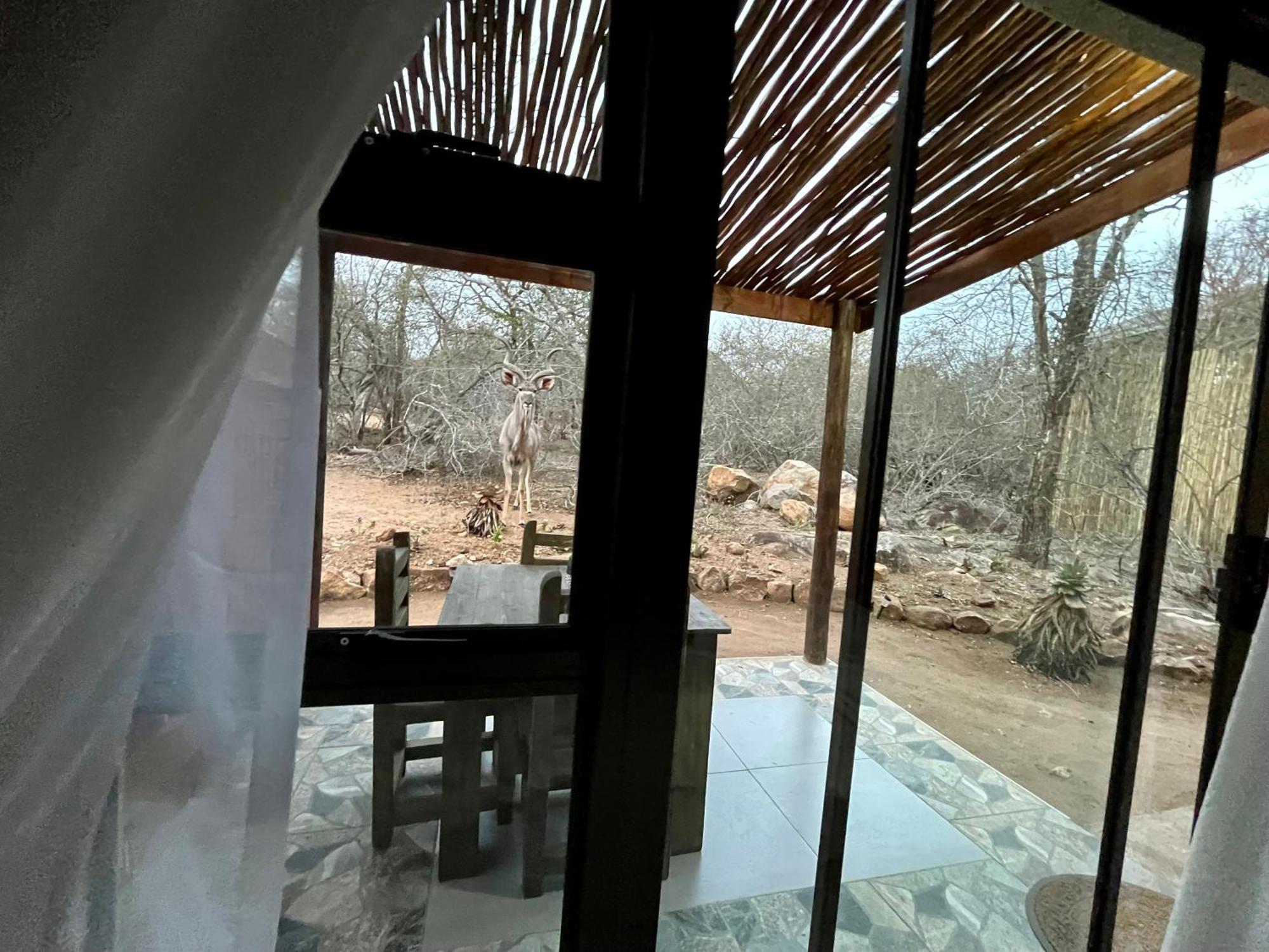 Kholiwe On Kruger Lodge & Safaris Marloth Park Ngoại thất bức ảnh