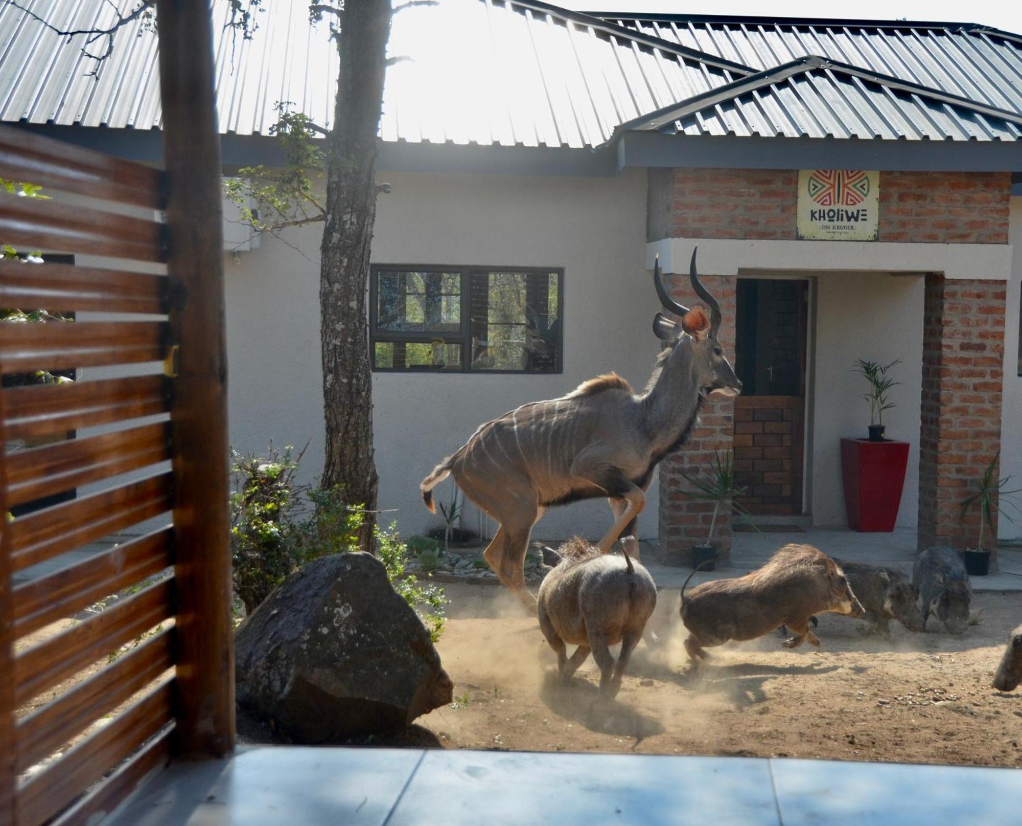 Kholiwe On Kruger Lodge & Safaris Marloth Park Ngoại thất bức ảnh