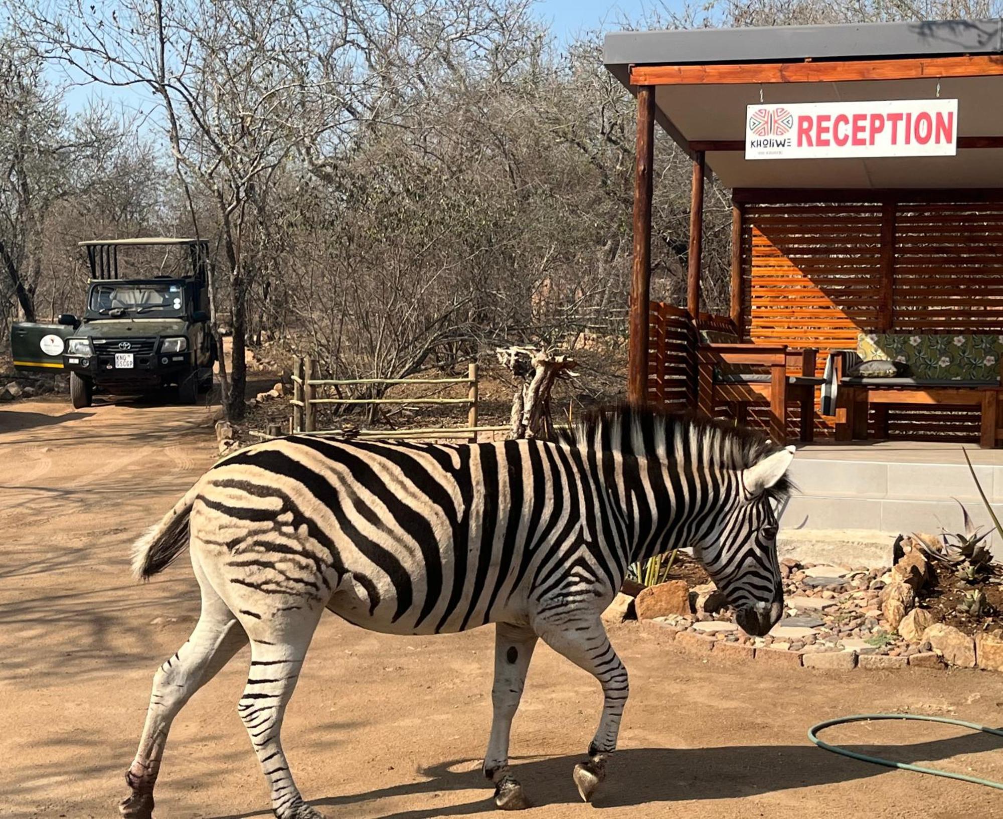 Kholiwe On Kruger Lodge & Safaris Marloth Park Ngoại thất bức ảnh