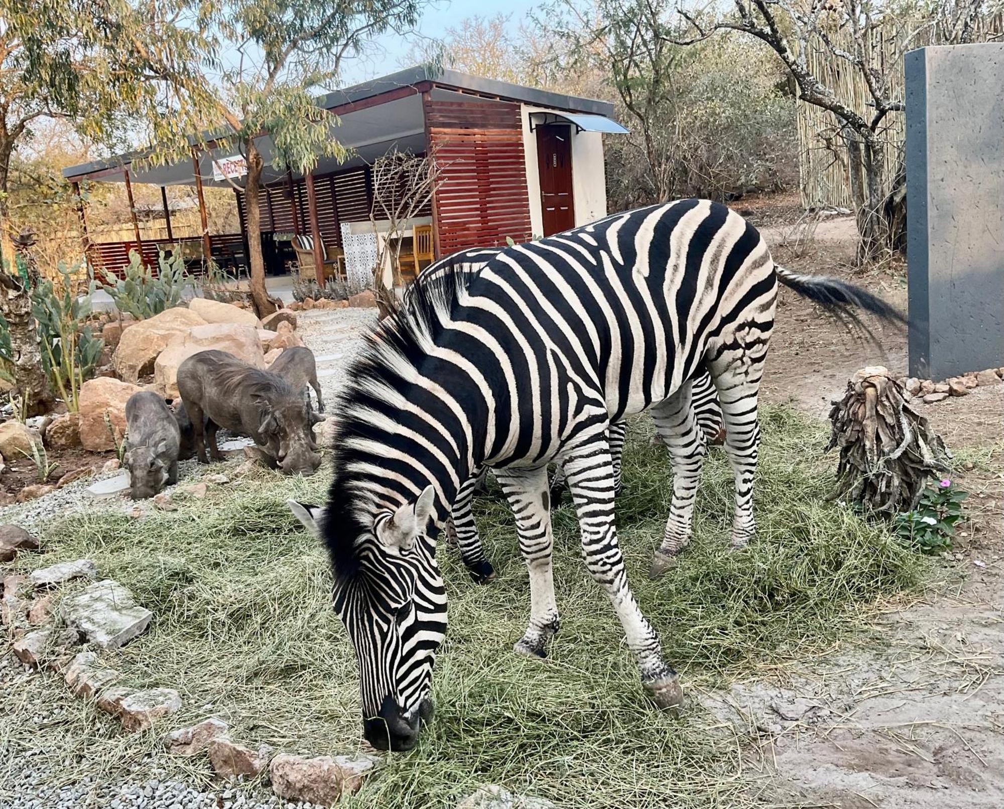 Kholiwe On Kruger Lodge & Safaris Marloth Park Ngoại thất bức ảnh