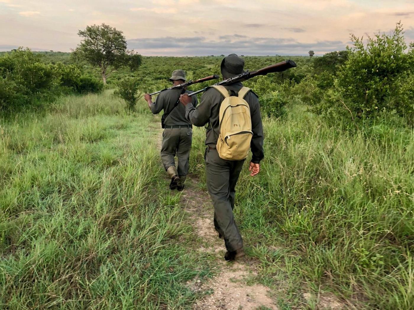 Kholiwe On Kruger Lodge & Safaris Marloth Park Ngoại thất bức ảnh