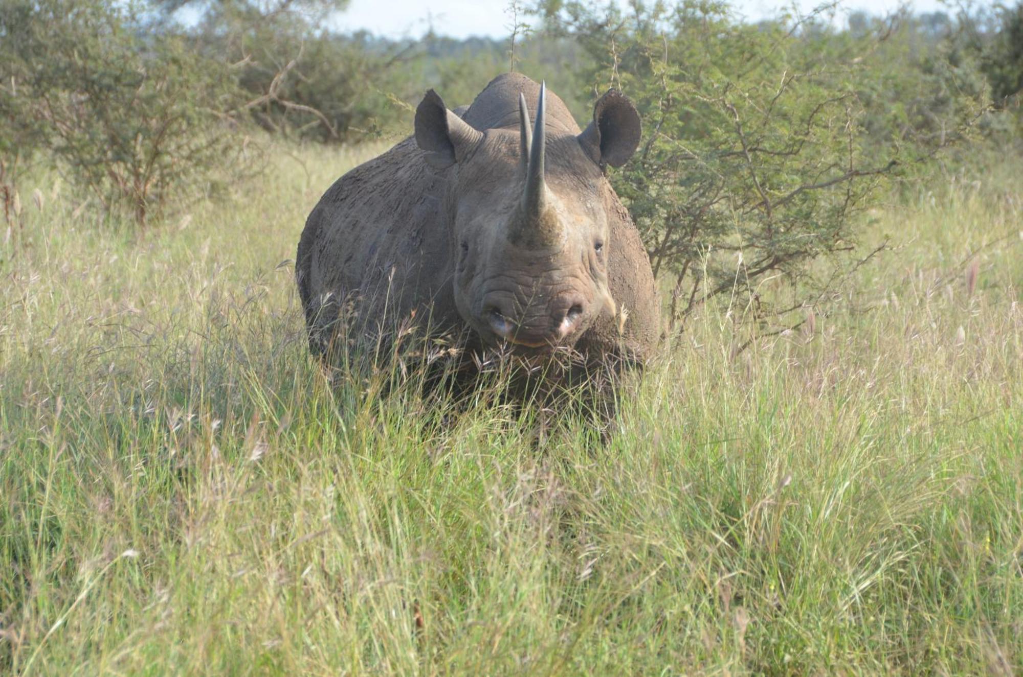 Kholiwe On Kruger Lodge & Safaris Marloth Park Ngoại thất bức ảnh
